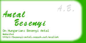 antal besenyi business card